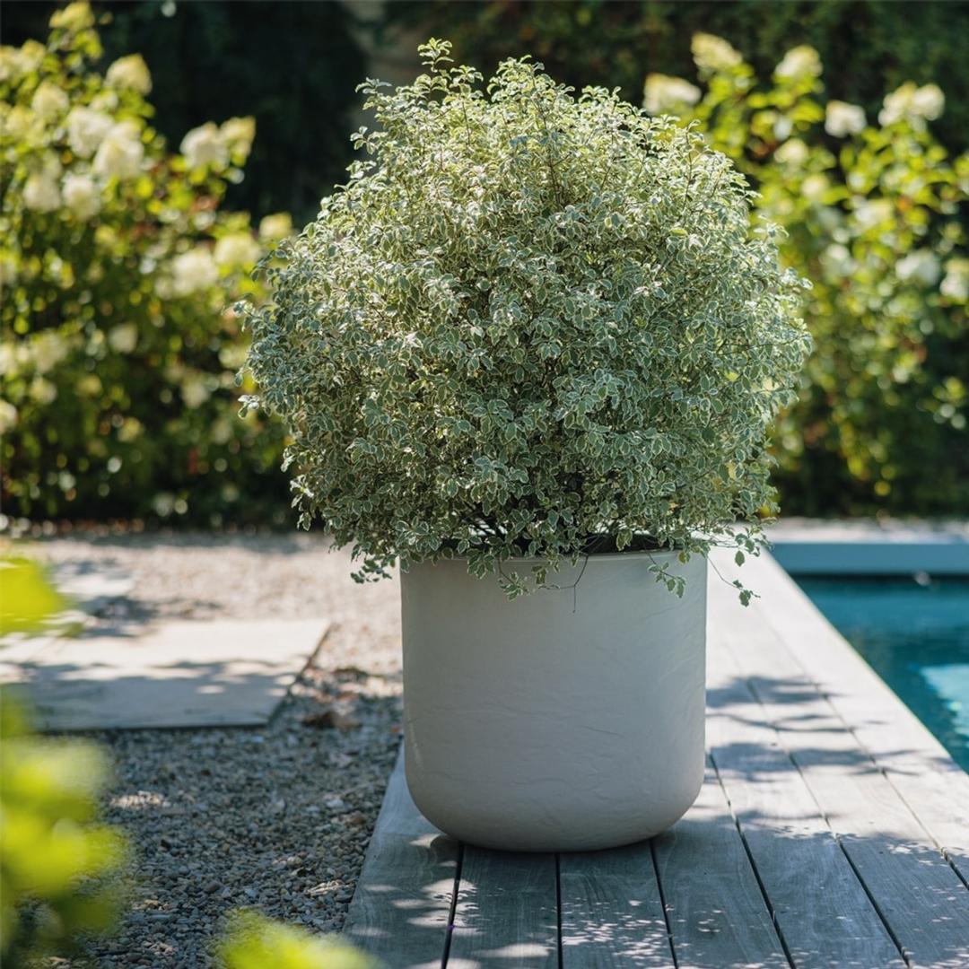 Pot de fleurs rond, décor pierre VOLCANIA'UP Ø 50 cm beige EDA - Pot de fleurs rond EDA VOLCANIA'UP Ø 50 cm beige, en situation au bord d'une piscine