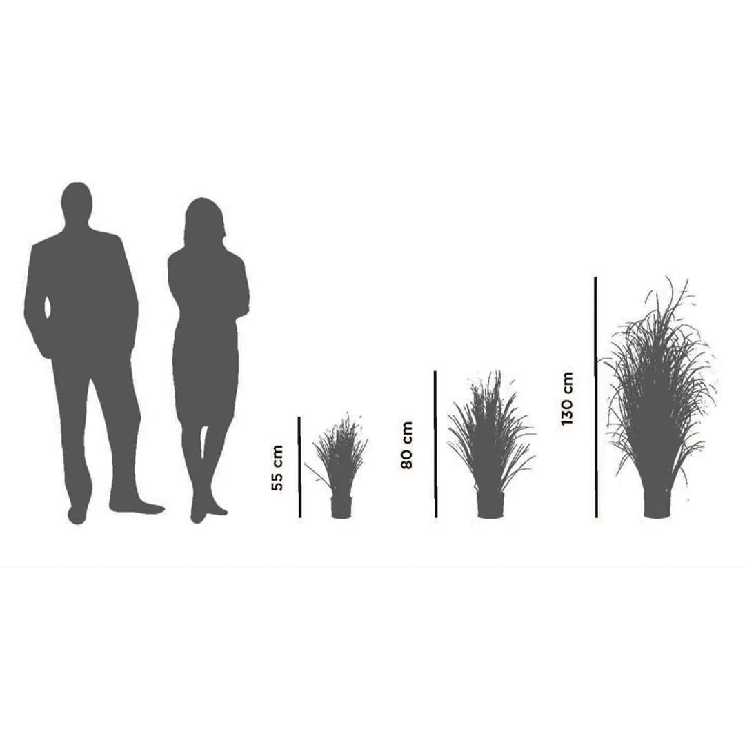 Plante artificielle, hauteur 55 cm Herbacée 55 cm PAPERFLOW - Plante artificielle PAPERFLOW Herbacée, schéma des hauteurs 55 cm, 80 cm et 1,30 m à côté d'une silhouette