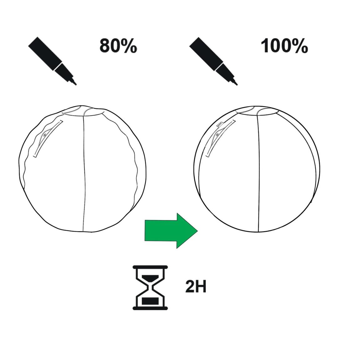 Ballon d'assise, anti-roulis Ergo Active Ø 55 cm gris LEITZ - Ballon d'assise LEITZ Ergo Active Ø 55 cm gris, gonflage en deux temps
