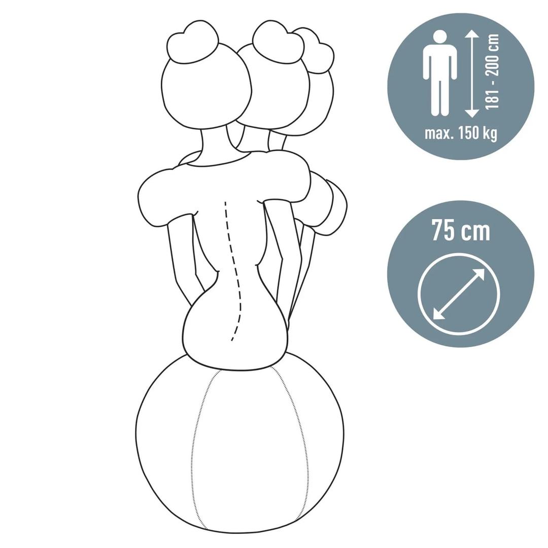 Ballon d'assise, anti-roulis Ergo Active Ø 75 cm gris LEITZ - Ballon d'assise LEITZ Ergo Active Ø 75 cm gris, taille conseillée et charge