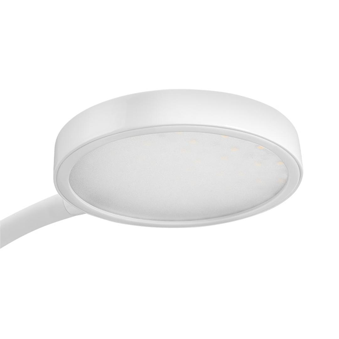 Lampe de bureau LED, col flexible, socle en bois Flex Silva CEP - Tête ronde de la lampe CEP Flex Silva