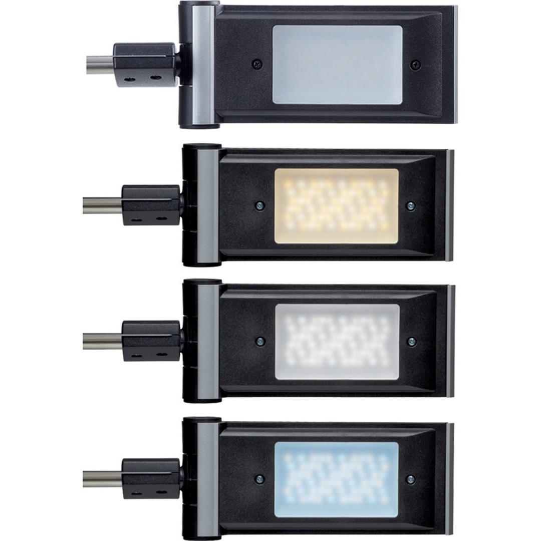 Lampe de bureau LED, température réglable, bras en ressort inox primus MAUL - Tête de la lampe MAULprimus dans quatre teintes de lumière