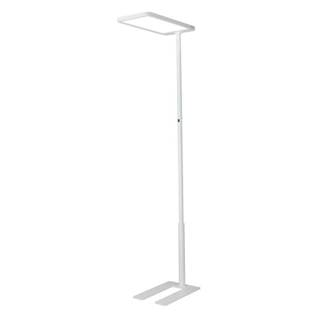 Lampadaire LED de bureau, 10 400 lumens Capella blanc HANSA - Lampadaire Hansa Capella blanc, vue d'ensemble