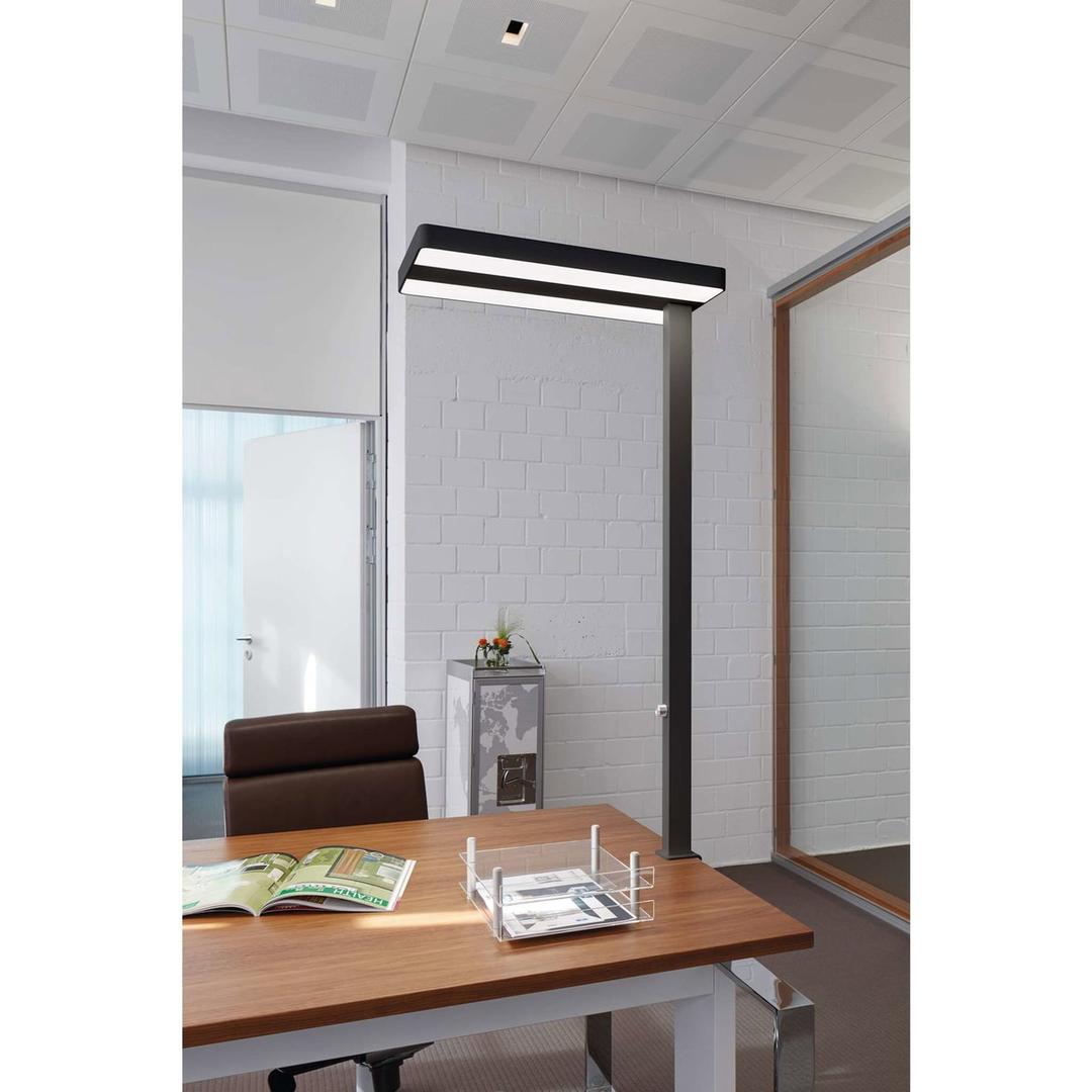 Lampadaire LED à pince, direct et indirect javal à pince noir MAUL - Lampadaire LED à pince MAULjaval noir, en situation