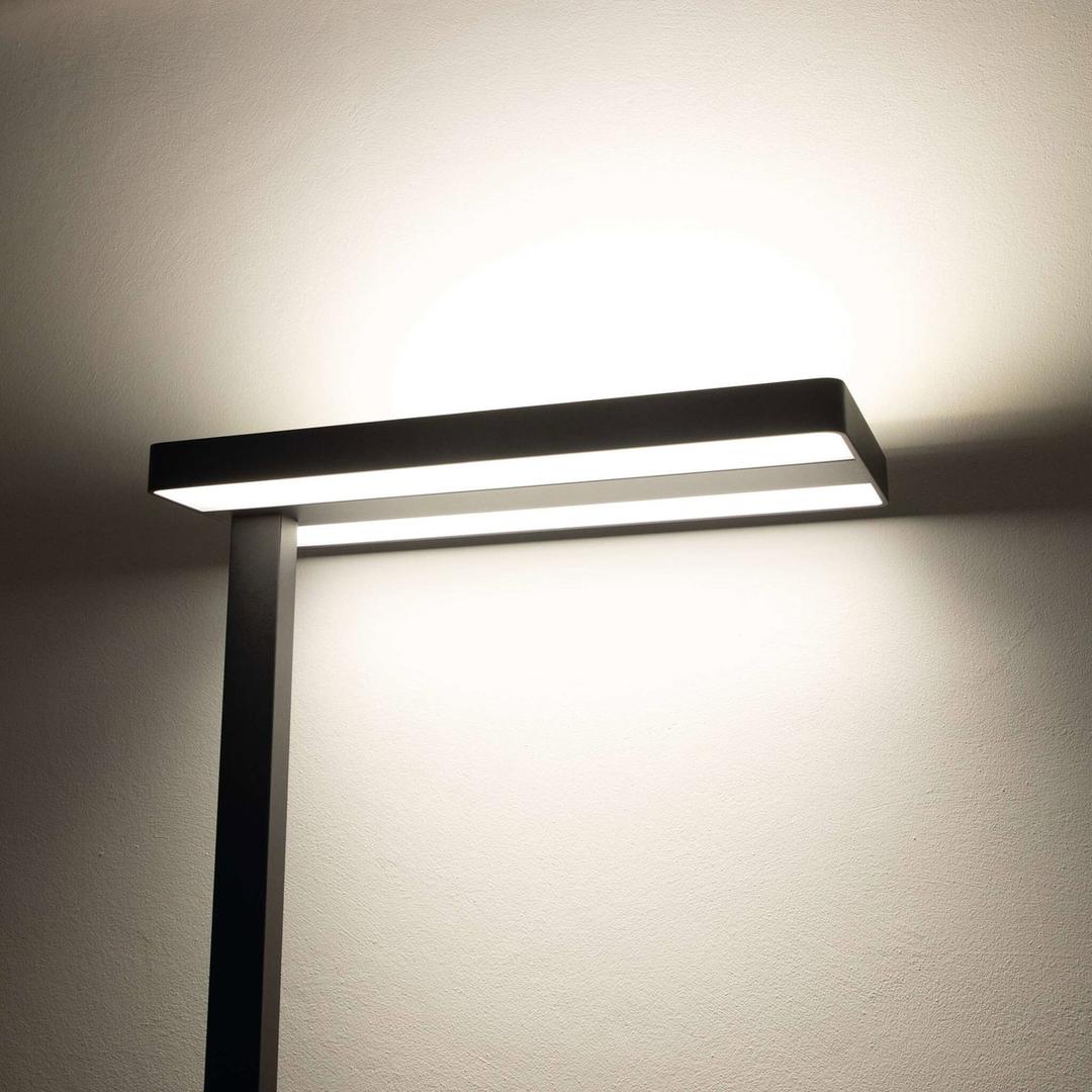 Lampadaire LED à pince, direct et indirect javal à pince noir MAUL - Lampadaire LED à pince MAULjaval noir, détail