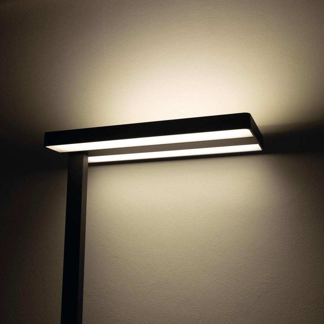 Lampadaire LED à pince, direct et indirect javal à pince noir MAUL - Lampadaire LED à pince MAULjaval noir, détail