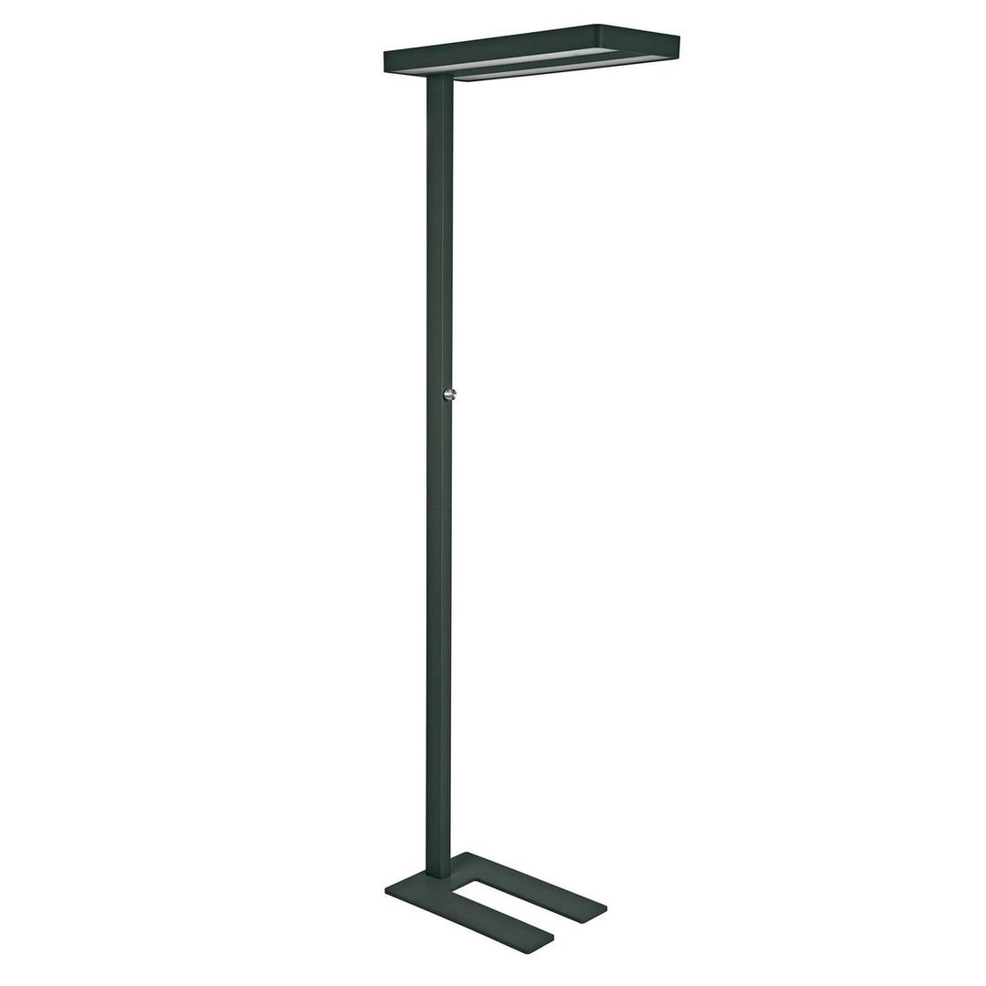 Lampadaire LED, direct et indirect javal noir MAUL - Lampadaire LED MAULjaval noir, vue d'ensemble