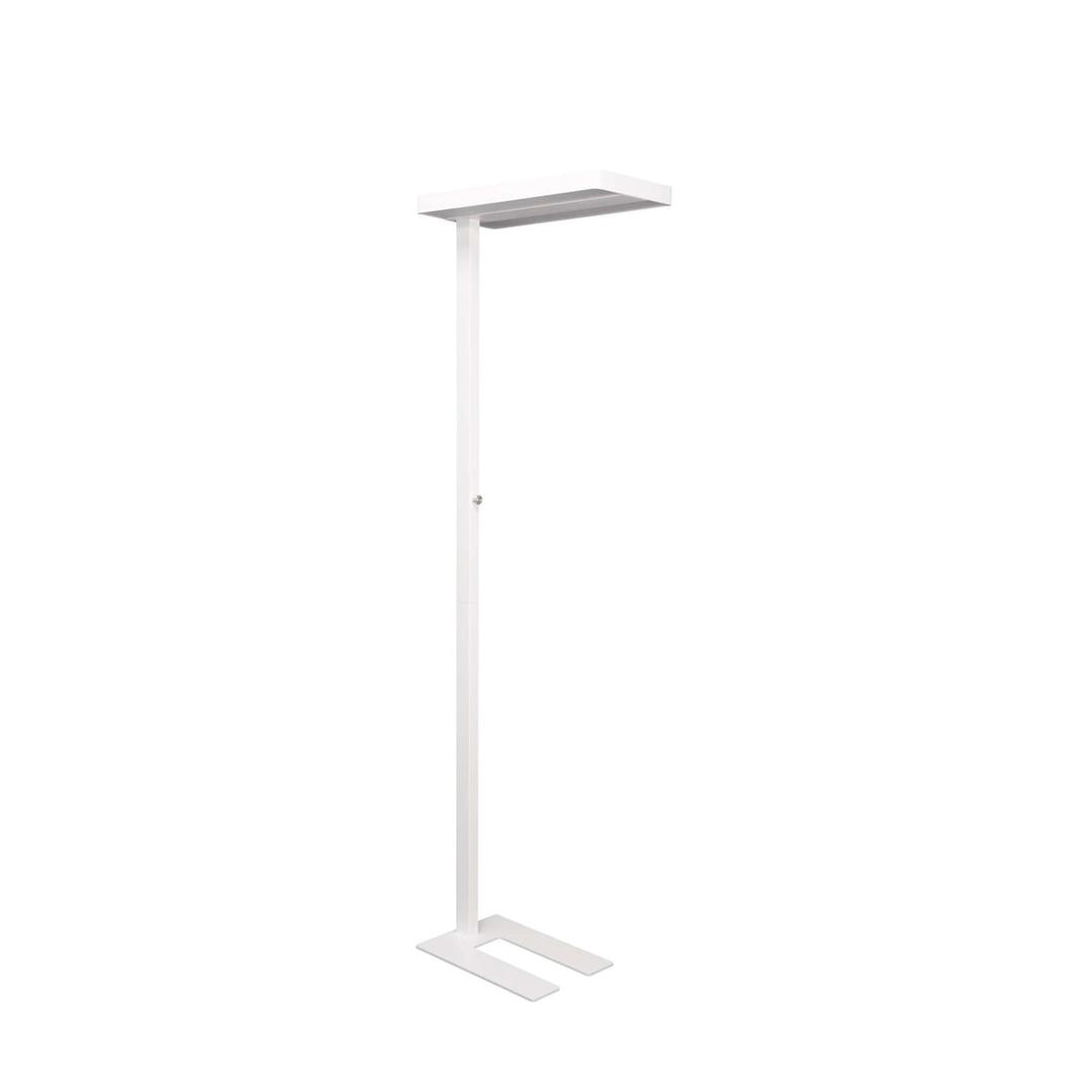 Lampadaire LED, direct et indirect javal blanc MAUL - Lampadaire LED MAULjaval blanc, vue d'ensemble