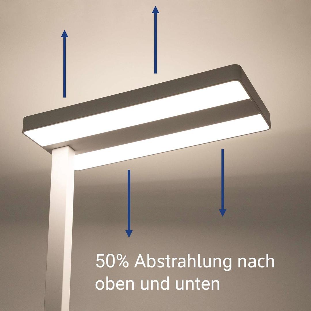 Lampadaire LED, direct et indirect javal blanc MAUL - Lampadaire LED MAULjaval blanc, dimensions