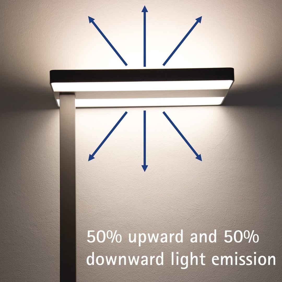 Lampadaire LED, direct et indirect javal argent MAUL - Lampadaire LED MAULjaval argent, dimensions