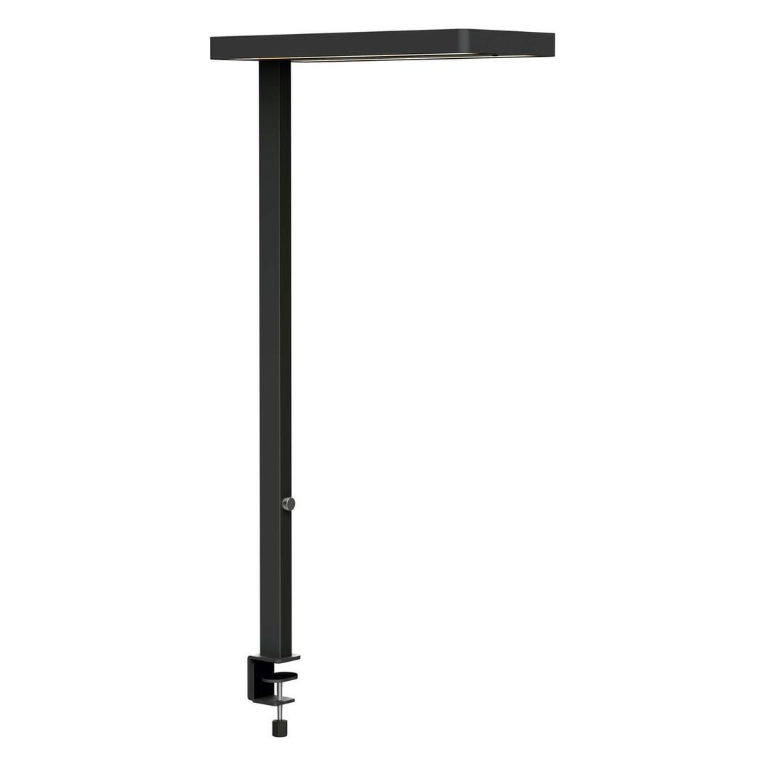 Lampadaire LED à pince, détecteur de présence juvis sensor à pince noir MAUL - Lampadaire LED à pince MAULjuvis sensor noir, vue d'ensemble