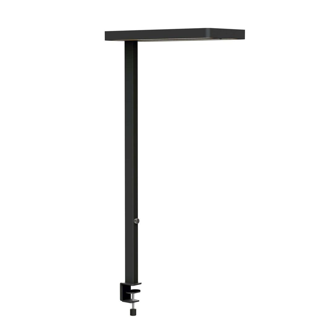 Lampadaire LED à pince, détecteur de présence juvis sensor à pince noir MAUL - Lampadaire LED à pince MAULjuvis sensor noir, vue d'ensemble