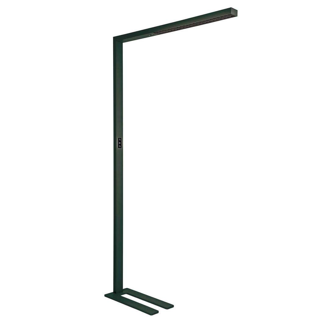 Lampadaire LED, température réglable sirius noir MAUL - Lampadaire LED MAULsirius noir, vue d'ensemble