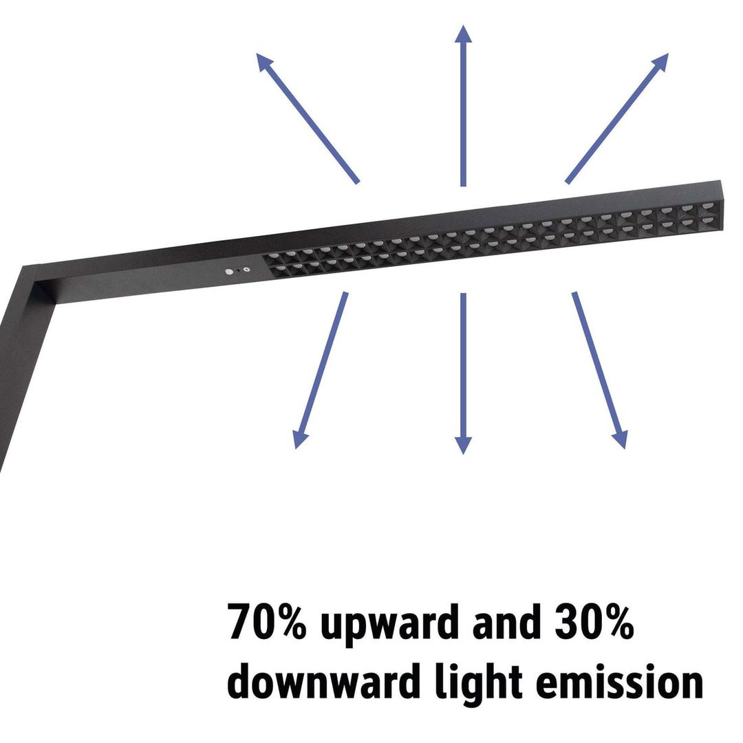 Lampadaire LED, température réglable sirius noir MAUL - Lampadaire LED MAULsirius noir, dimensions