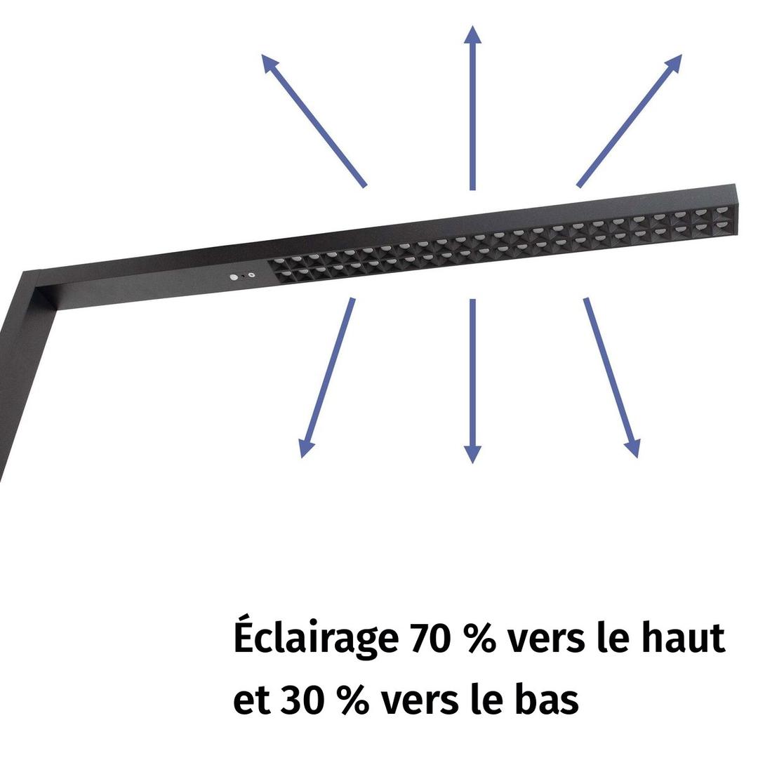 Lampadaire LED, température réglable sirius noir MAUL - Lampadaire LED MAULsirius noir, répartition de la lumière vers le haut et vers le bas
