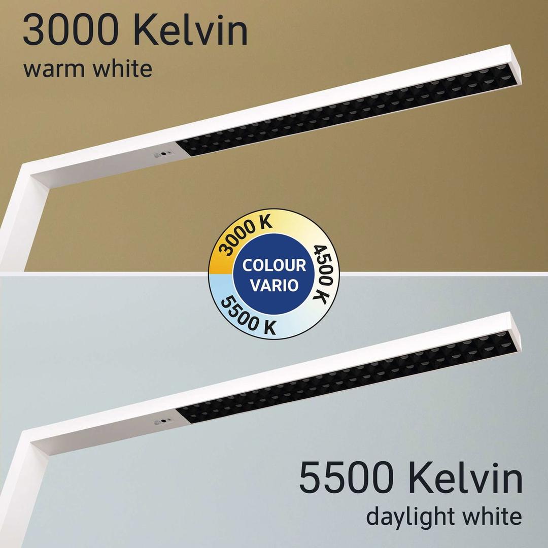 Lampadaire LED, température réglable sirius blanc MAUL - Lampadaire LED MAULsirius blanc, dimensions