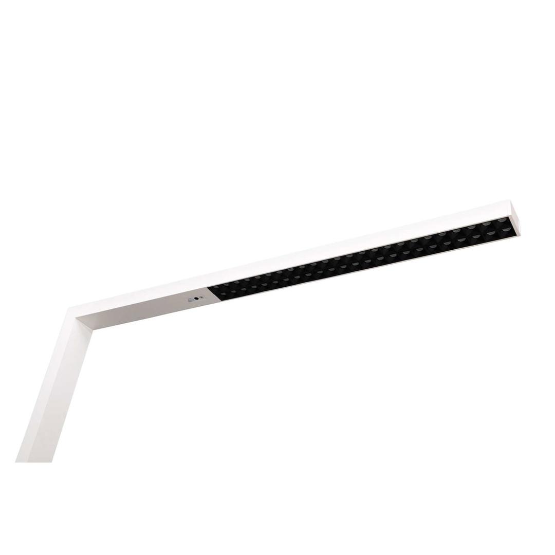 Lampadaire LED, température réglable sirius blanc MAUL - Lampadaire LED MAULsirius blanc, détail