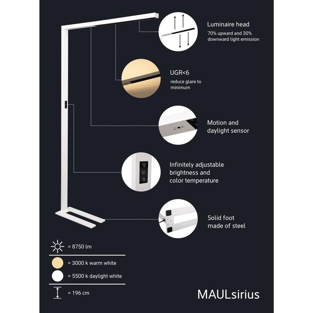 Lampadaire LED, température réglable sirius blanc MAUL - Lampadaire LED MAULsirius blanc, dimensions