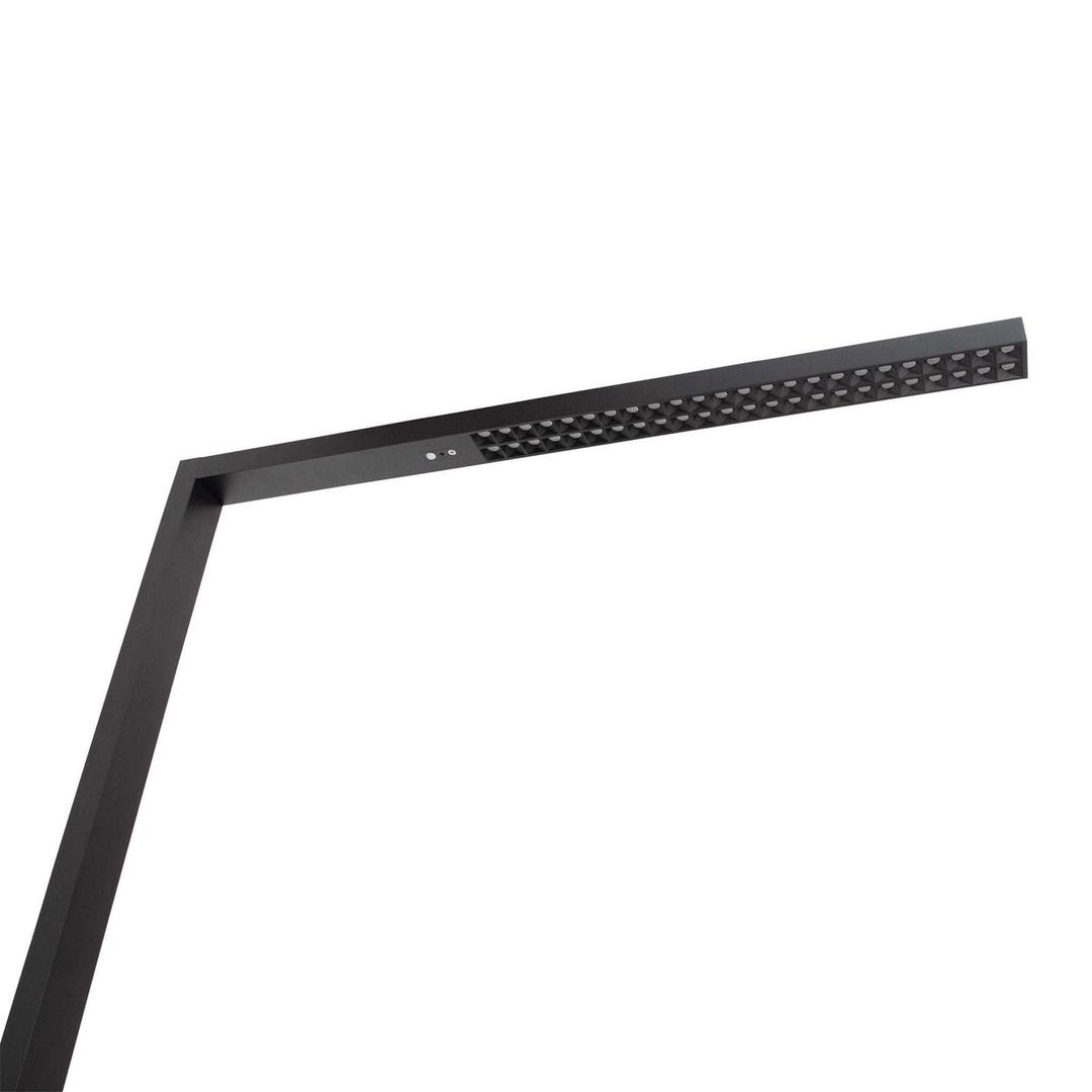 Lampadaire LED à pince, température réglable sirius à pince noir MAUL - Lampadaire LED à pince MAULsirius noir, détail