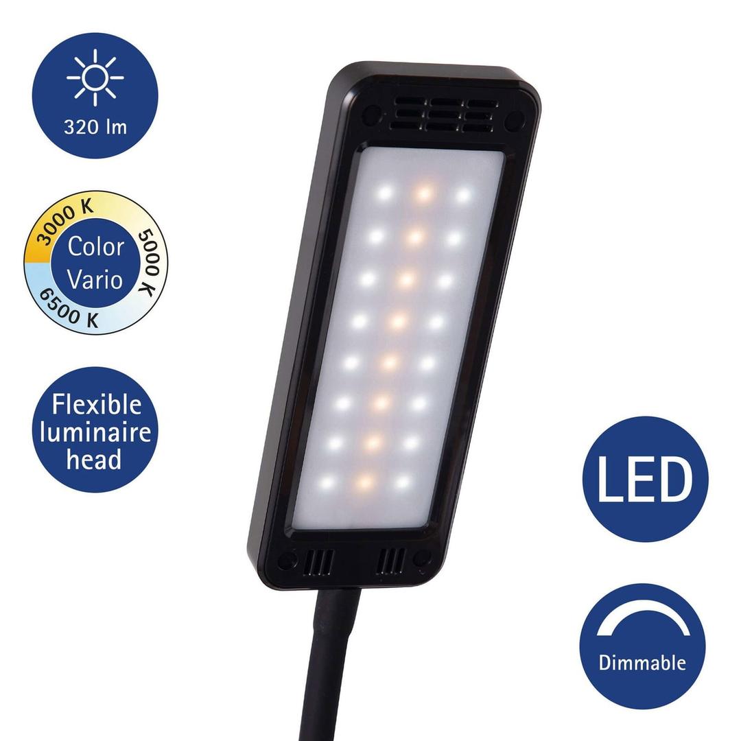 Lampe de bureau LED, température réglable pearly colour vario noir MAUL - Lampe LED MAULpearly colour vario noir, dimensions