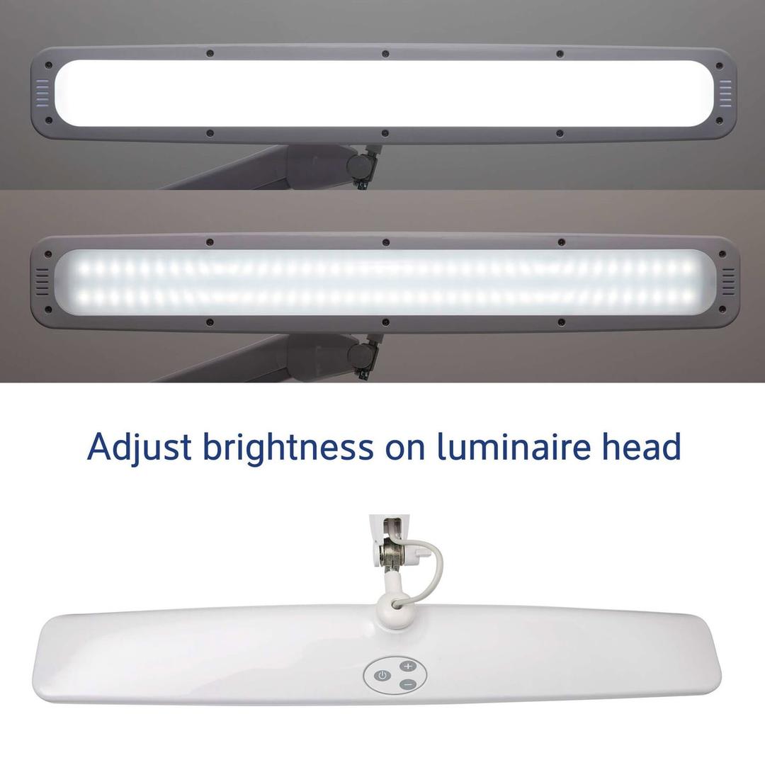 Lampe de travail LED dimmable à pince, 5140 lux explore blanc MAUL - Lampe de travail LED à pince MAULexplore blanc, dimensions