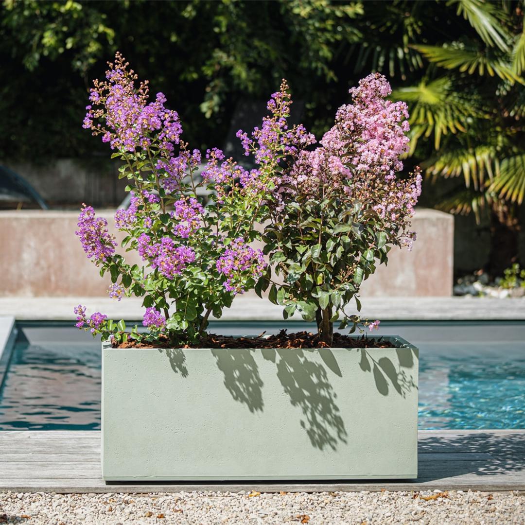 Jardinière, décor béton BASALT'UP 80 cm vert amande POÉTIC - Jardinière Poétic BASALT'UP 80 cm vert amande, en situation au bord d'une piscine