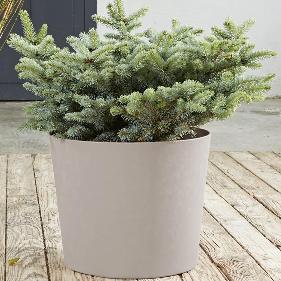 Pot de fleurs conique, aspect calcaire ELEMENT conique Ø 40 cm calcaire POÉTIC - Pot de fleurs conique Poétic ELEMENT conique Ø 40 cm calcaire, en situation sur une terrasse