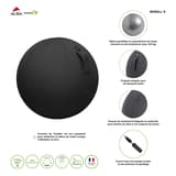 Ballon d'assise, Ø 65 cm ERGOBALL noir ALBA - Ballon d'assise ALBA ERGOBALL noir, fiche du fabricant