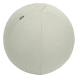 Ballon d'assise, anti-roulis Ergo Active Ø 55 cm gris LEITZ - Ballon d'assise LEITZ Ergo Active Ø 55 cm gris, vue d'ensemble