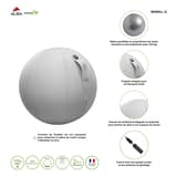 Ballon d'assise, Ø 65 cm ERGOBALL gris clair ALBA - Ballon d'assise ALBA ERGOBALL gris clair, fiche du fabricant