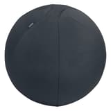 Ballon d'assise, anti-roulis Ergo Active Ø 55 cm gris foncé LEITZ - Ballon d'assise LEITZ Ergo Active Ø 55 cm gris foncé, vue d'ensemble