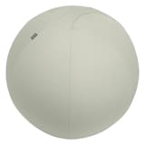 Ballon d'assise, anti-roulis Ergo Active Ø 75 cm gris LEITZ - Ballon d'assise LEITZ Ergo Active Ø 75 cm gris, vue d'ensemble