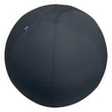 Ballon d'assise, anti-roulis Ergo Active Ø 75 cm gris foncé LEITZ - Ballon d'assise LEITZ Ergo Active Ø 75 cm gris foncé, vue d'ensemble