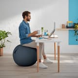Ballon d'assise, housse zippée Ergo Cosy Ø 65 cm gris LEITZ - Ballon d'assise LEITZ Ergo Cosy Ø 65 cm gris, en situation à un bureau