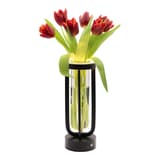 Lampe-vase LED sans fil, tube en verre FLORENCE SECURIT - Lampe-vase Securit FLORENCE garnie de tulipes