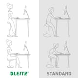 Tabouret assis-debout Ergo Cosy assis-debout 2 en 1 gris LEITZ - Tabouret assis-debout LEITZ Ergo Cosy assis-debout 2 en 1 gris, assis ou debout
