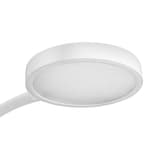 Lampe de bureau LED, col flexible, socle en bois Flex Silva CEP - Tête ronde de la lampe CEP Flex Silva