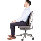 Fixation Tri-Tensioning, noir Support dorsal en maille Office Suites FELLOWES - Support dorsal en maille Fellowes Office Suites noir, utilisateur assis