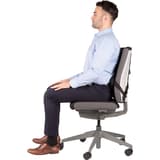 3 sections lombaires et coussin haut du dos, noir Support dorsal Professional Series FELLOWES - Support dorsal Fellowes Professional Series à mémoire de forme, utilisateur assis