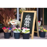 Hauteur 85 cm, double face, cadre naturel Stop-trottoir ardoise NATURE SECURIT - Stop-trottoir Securit NATURE naturel devant un fleuriste