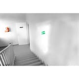 Plaque Sortie de secours EXACOMPTA collée au-dessus d'une porte