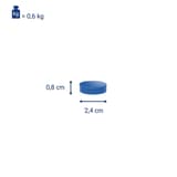 Cotes de l'aimant MAUL MAULsolid : 24 mm de diamètre, 8 mm de haut, 0,6 kg de force