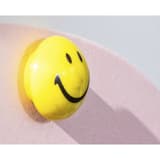 Aimant Smiley magnetoplan posé sur une feuille, gros plan