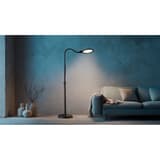 Lampadaire LED de lecture, hauteur réglable Atria HANSA - Lampadaire Hansa Atria, dans un salon