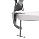 Lampe de bureau à pince, sans ampoule study chrome MAUL - Lampe de bureau à pince MAULstudy chromé, détail