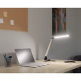 Lampe de bureau LED, bouton variateur Breeze argent brossé HANSA - Lampe de bureau Hansa Breeze argent brossé, allumée sur un bureau