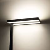 Lampadaire LED à pince, direct et indirect javal à pince noir MAUL - Lampadaire LED à pince MAULjaval noir, détail