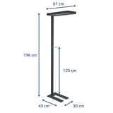 Lampadaire LED, direct et indirect javal noir MAUL - Lampadaire LED MAULjaval noir, dimensions