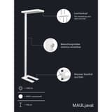 Lampadaire LED, direct et indirect javal blanc MAUL - Lampadaire LED MAULjaval blanc, dimensions
