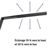Lampadaire LED, température réglable sirius noir MAUL - Lampadaire LED MAULsirius noir, répartition de la lumière vers le haut et vers le bas